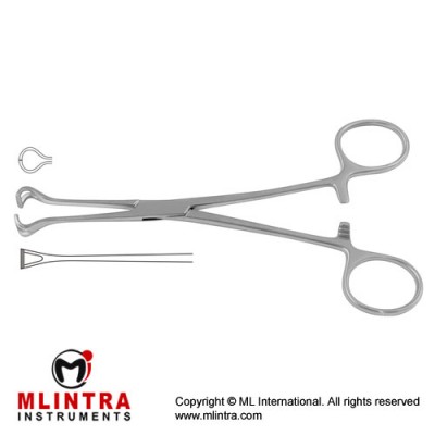 Babcock Intestinal and Tissue Grasping Forceps Stainless Steel, 17.5 cm - 7"